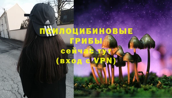 дурь Алзамай