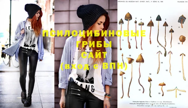 стафф Алексеевка